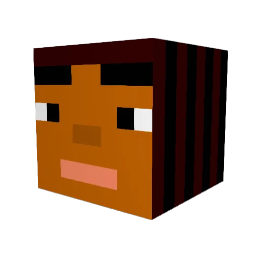 RandyTegridy Minecraft avatar head, 3D render
