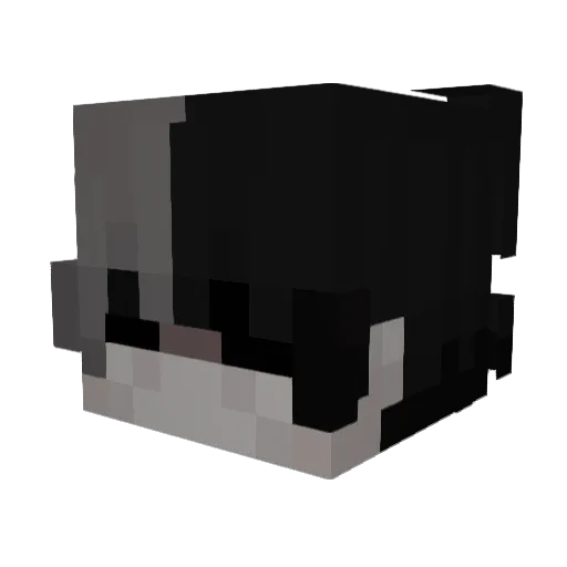 Raneemzo Minecraft avatar head, 3D render