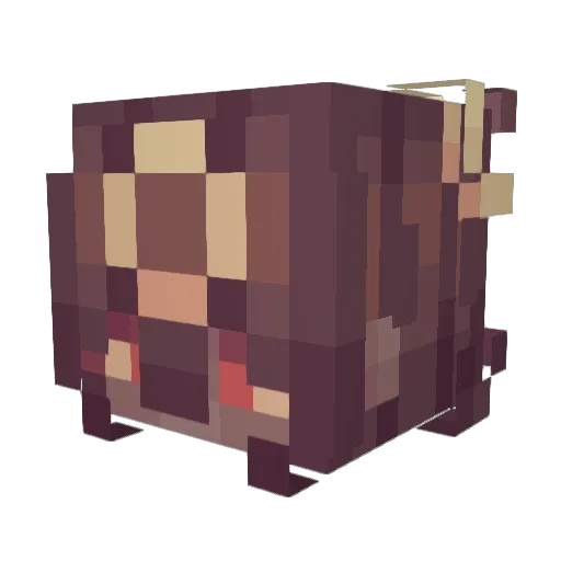 Ranelf Minecraft avatar head, 3D render