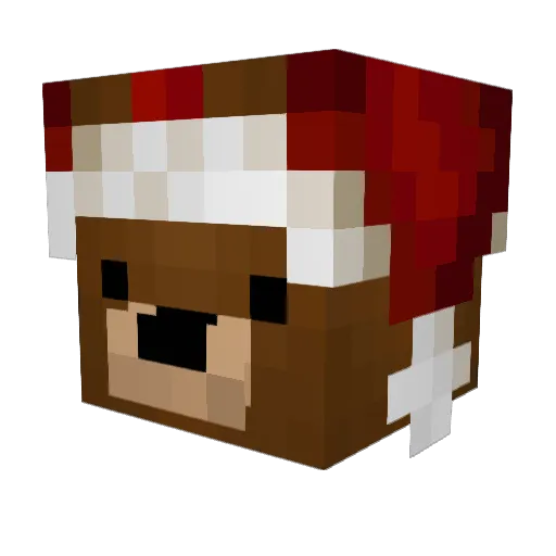 Ranemi Minecraft avatar head, 3D render