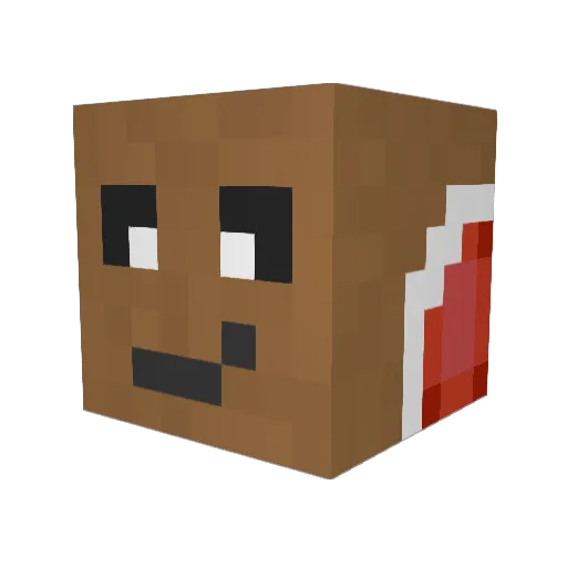 Raneter Minecraft avatar head, 3D render