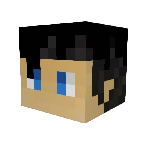 Ranexiis1 Minecraft avatar head, 3D render