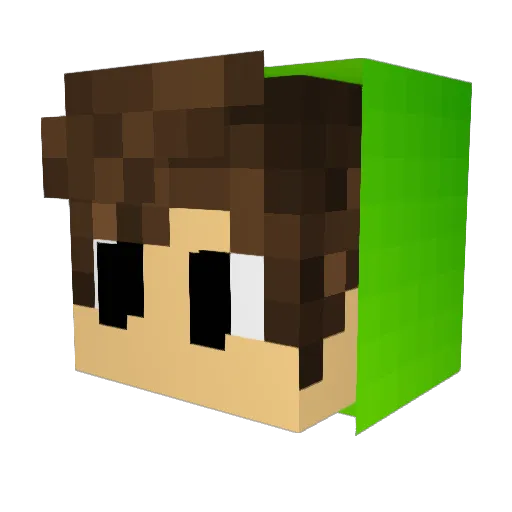RangedBird5419 Minecraft avatar head, 3D render