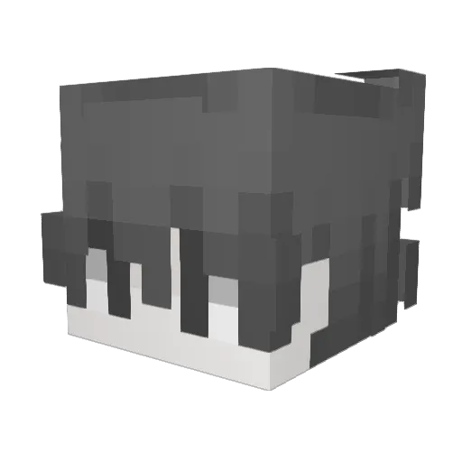 Ranged_Warrior Minecraft avatar head, 3D render