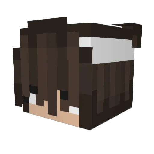 Rangequid Minecraft avatar head, 3D render