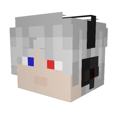 Ranger10341 Minecraft avatar head, 3D render