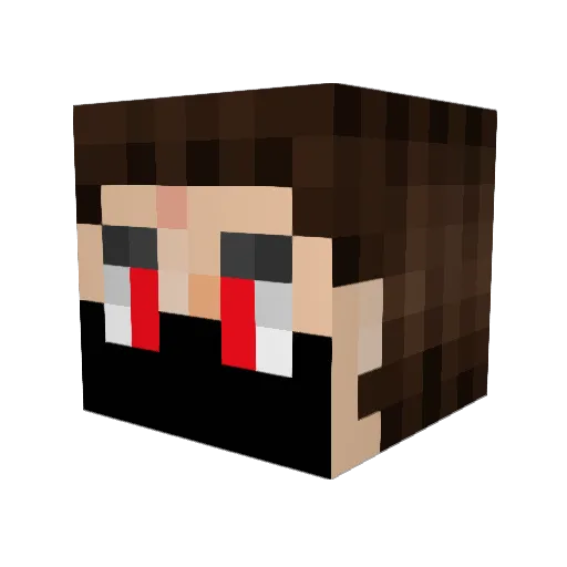 Ranger316 Minecraft avatar head, 3D render