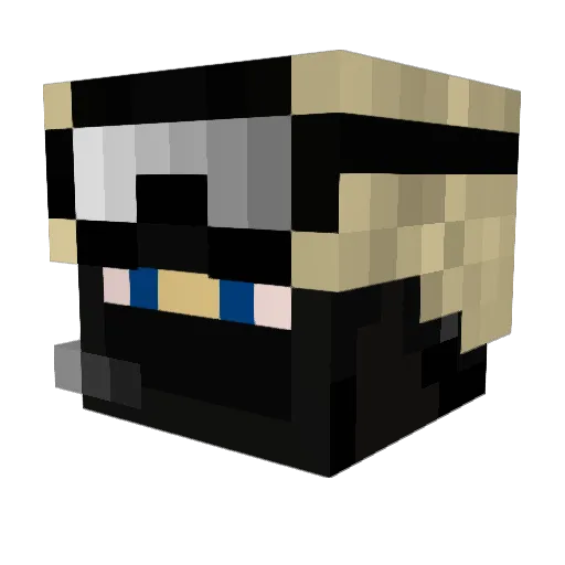 Ranger5578 Minecraft avatar head, 3D render