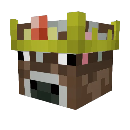 Ranger6666 Minecraft avatar head, 3D render