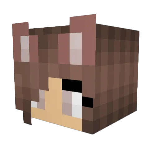 RangerBihl Minecraft avatar head, 3D render
