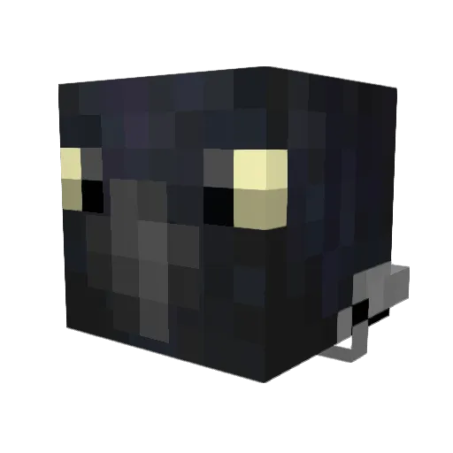 RangerIsBald Minecraft avatar head, 3D render