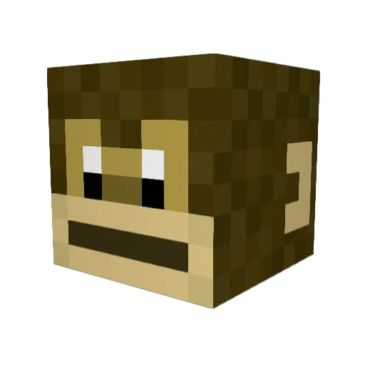 RangerMonkey13 Minecraft avatar head, 3D render
