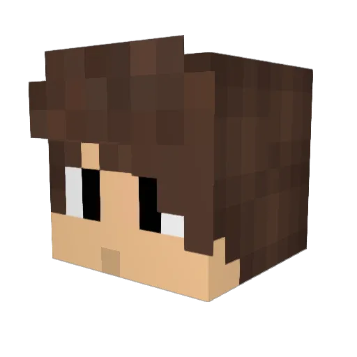 Rango3 Minecraft avatar head, 3D render