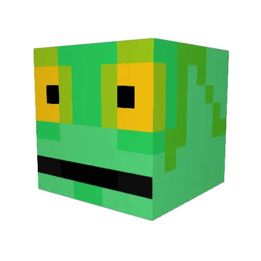 RangoTango69 Minecraft avatar head, 3D render