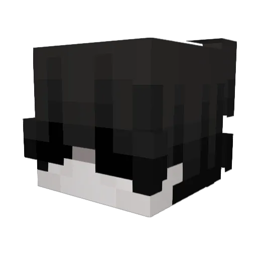 Rangoo Minecraft avatar head, 3D render