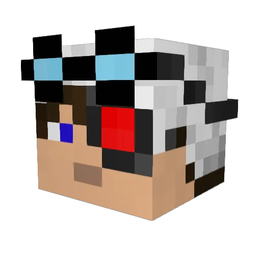 Rangooo Minecraft avatar head, 3D render
