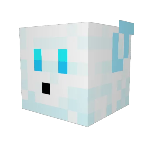 Ranida2 Minecraft avatar head, 3D render