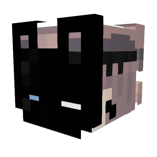 Raniform_ Minecraft avatar head, 3D render