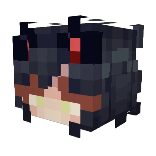 Ranii__ Minecraft avatar head, 3D render