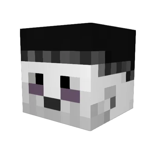 Rankkuri_X Minecraft avatar head, 3D render