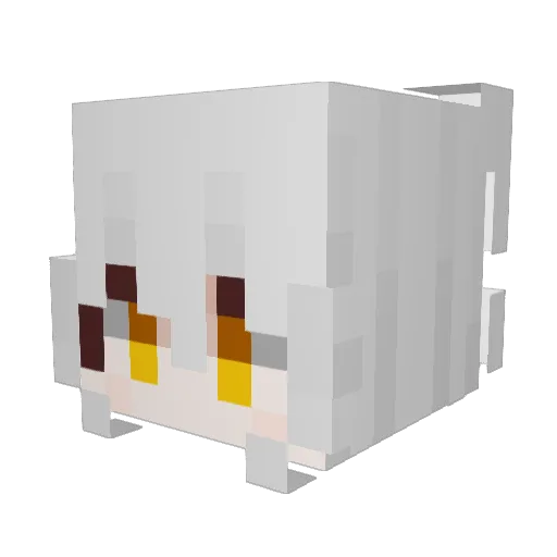 RankoBlaze Minecraft avatar head, 3D render
