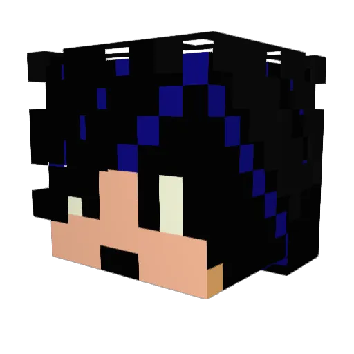 Rankoda Minecraft avatar head, 3D render