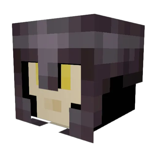 RanktheAnimattor Minecraft avatar head, 3D render