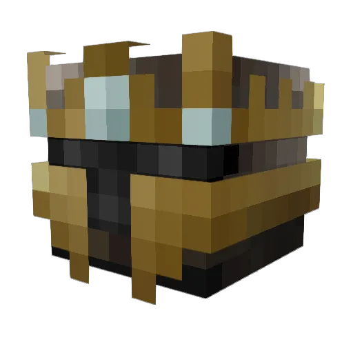 Rann Minecraft avatar head, 3D render