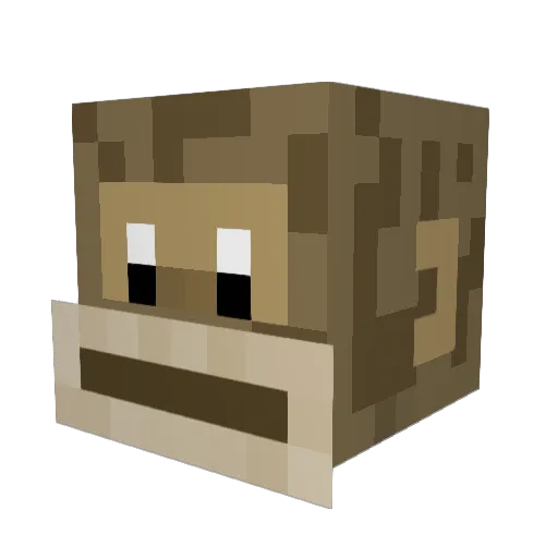 Rannewenne Minecraft avatar head, 3D render