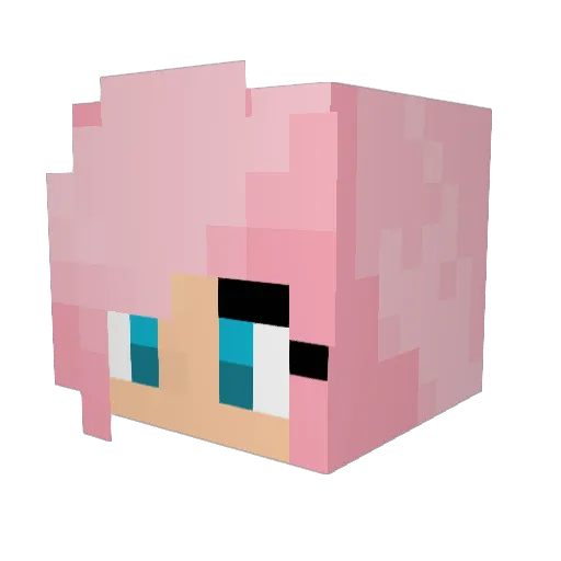 Rannsi Minecraft avatar head, 3D render