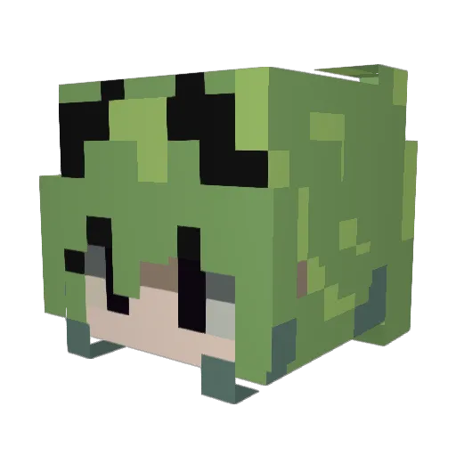 Ranpaku_ Minecraft avatar head, 3D render