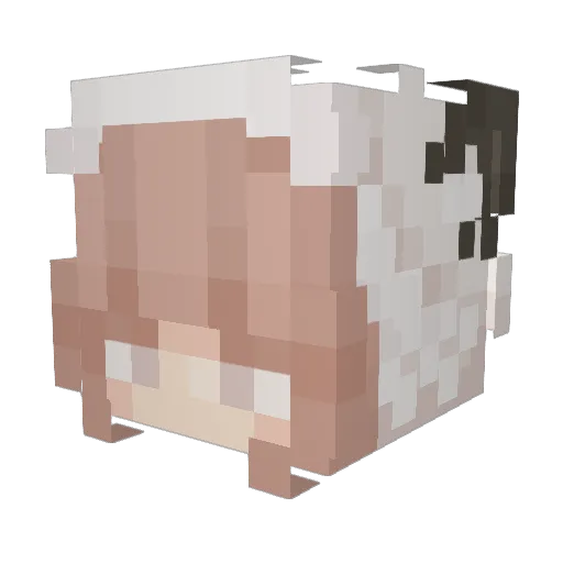 Ranraku Minecraft avatar head, 3D render