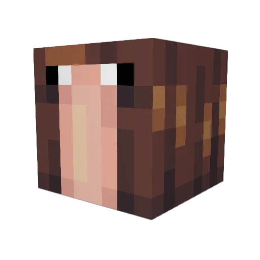 Ranthios360 Minecraft avatar head, 3D render