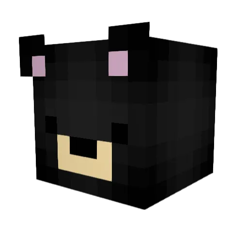 Ranze Minecraft avatar head, 3D render