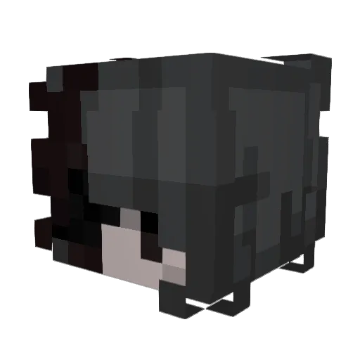 Ranzeky Minecraft avatar head, 3D render