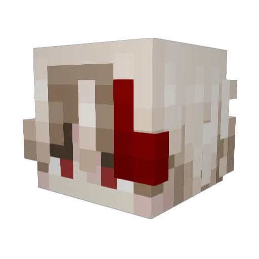 RanzzOnTopp Minecraft avatar head, 3D render