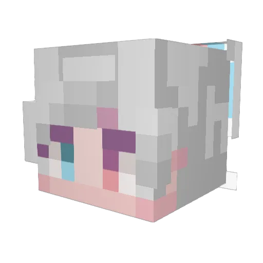 Raonmir_ Minecraft avatar head, 3D render