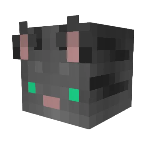 Raonmyr Minecraft avatar head, 3D render