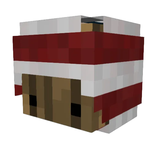 Raouan Minecraft avatar head, 3D render