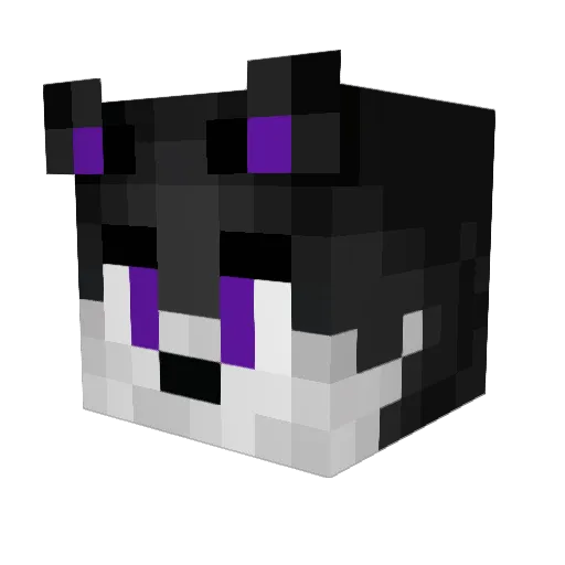 Raoullllll Minecraft avatar head, 3D render