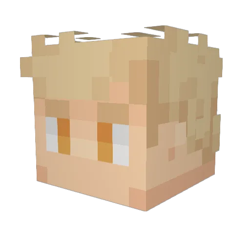 Rapax_Folium Minecraft avatar head, 3D render