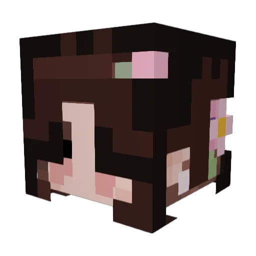 Raperi Minecraft avatar head, 3D render