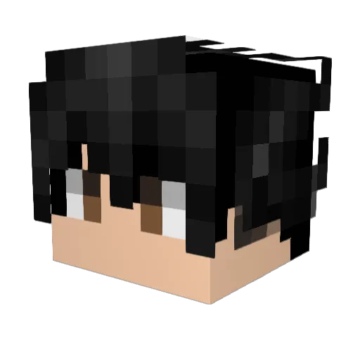 Rapha7w7 Minecraft avatar head, 3D render