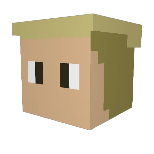 Raphael1610 Minecraft avatar head, 3D render