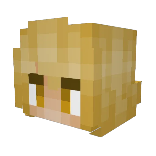 Raphael4658 Minecraft avatar head, 3D render