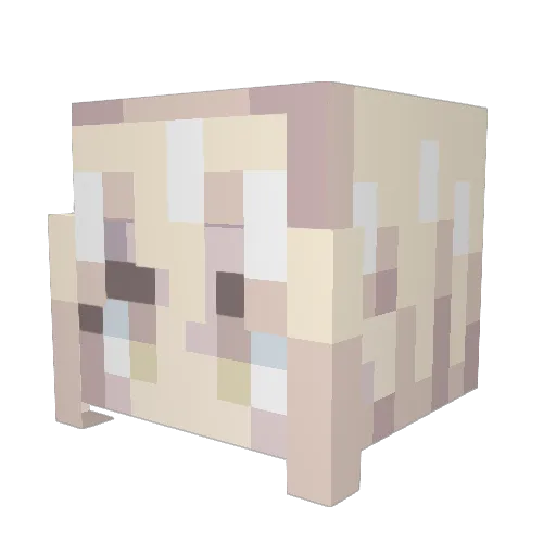 Raphael4 Minecraft avatar head, 3D render
