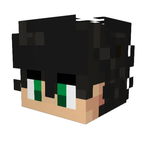 Raphaloga Minecraft avatar head, 3D render