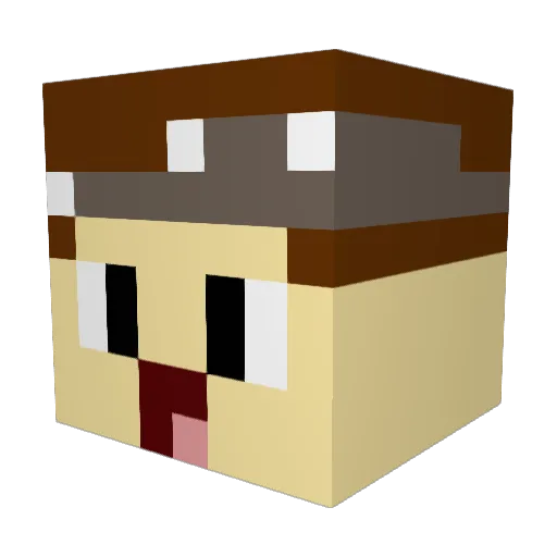 Raphi131341 Minecraft avatar head, 3D render
