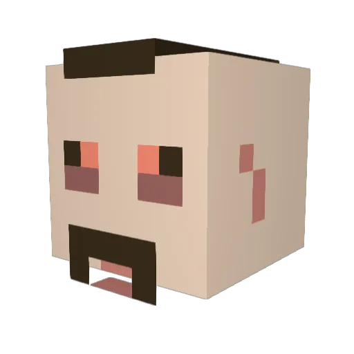 Raphi4133 Minecraft avatar head, 3D render
