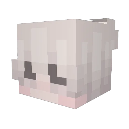 Raphle_AL Minecraft avatar head, 3D render